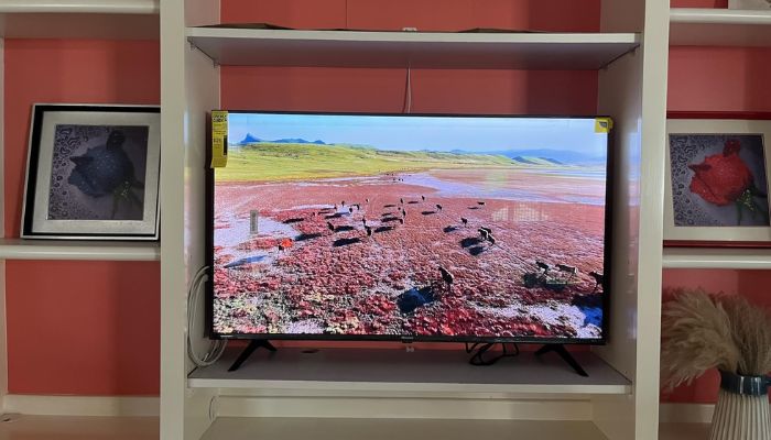 Eleganter Fernseher vor heller Wand im Raum