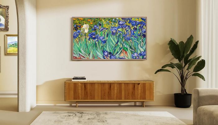 Hisense CanvasTV 2024