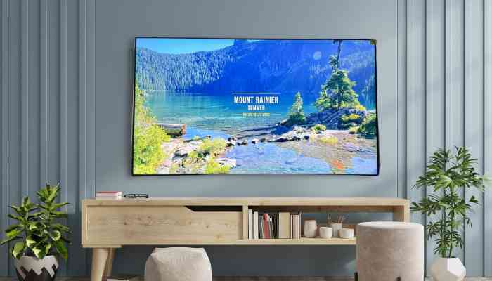 Hisense H6570F mit lebendiger Naturszene auf dem Bildschirm